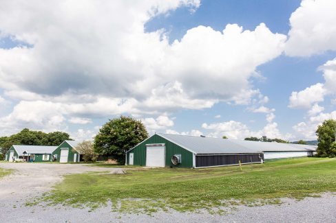 Poultry Farm for sale in Alabama